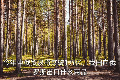 今年中俄貿(mào)易將突破1萬(wàn)億，我國(guó)向俄羅斯出口什么商品