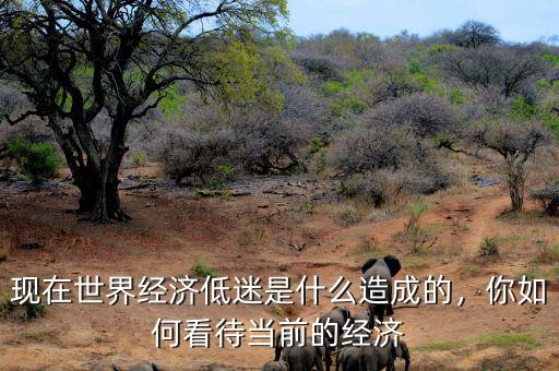 現(xiàn)在世界經(jīng)濟低迷是什么造成的，你如何看待當(dāng)前的經(jīng)濟