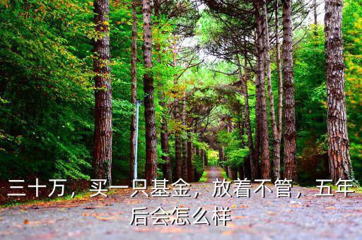 三十萬，買一只基金，放著不管，五年后會怎么樣
