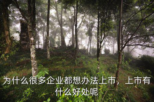 為什么很多企業(yè)都想辦法上市，上市有什么好處呢