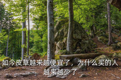 如今皮草越來(lái)越便宜了，為什么買(mǎi)的人越來(lái)越少了
