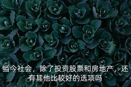 當(dāng)今社會(huì)，除了投資股票和房地產(chǎn)，還有其他比較好的選項(xiàng)嗎