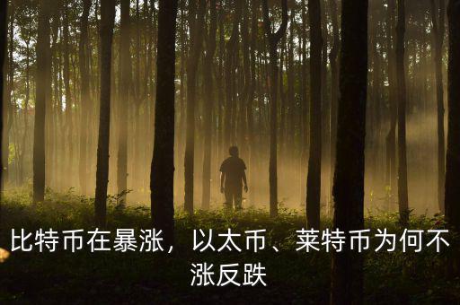 比特幣在暴漲，以太幣、萊特幣為何不漲反跌
