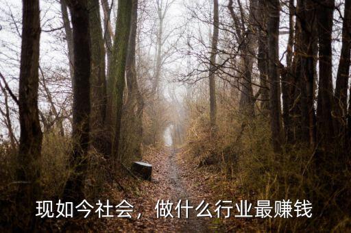 現(xiàn)如今社會(huì)，做什么行業(yè)最賺錢