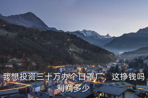 我想投資三十萬辦個口罩廠，這掙錢嗎利潤多少