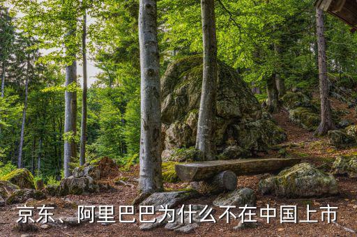 京東、阿里巴巴為什么不在中國上市