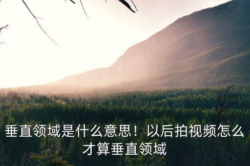 垂直領(lǐng)域是什么意思！以后拍視頻怎么才算垂直領(lǐng)域