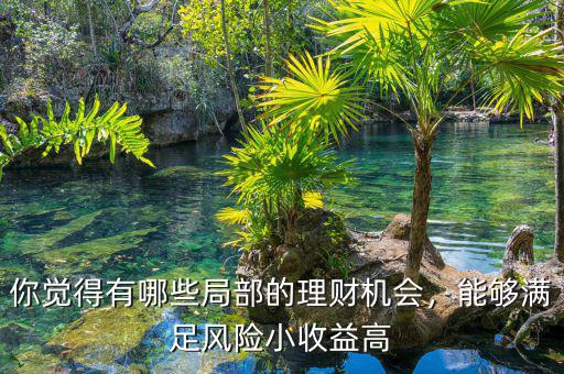 你覺得有哪些局部的理財機會，能夠滿足風(fēng)險小收益高
