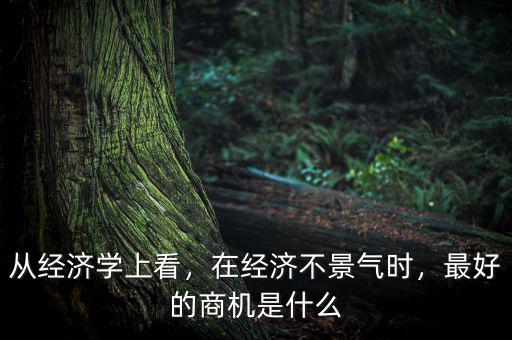 從經(jīng)濟(jì)學(xué)上看，在經(jīng)濟(jì)不景氣時，最好的商機(jī)是什么