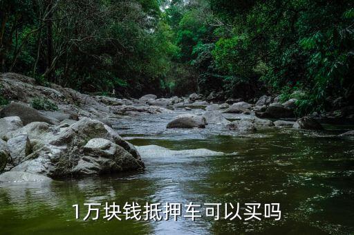 1萬(wàn)塊錢(qián)抵押車可以買(mǎi)嗎