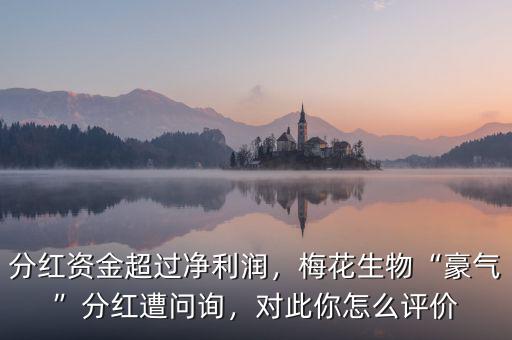 分紅資金超過凈利潤，梅花生物“豪氣”分紅遭問詢，對此你怎么評價