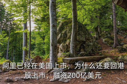 阿里已經(jīng)在美國上市，為什么還要回港股上市，融資200億美元