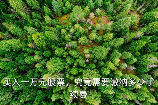 買入一萬(wàn)元股票，究竟需要繳納多少手續(xù)費(fèi)