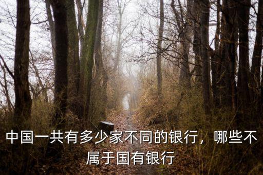 中國一共有多少家不同的銀行，哪些不屬于國有銀行