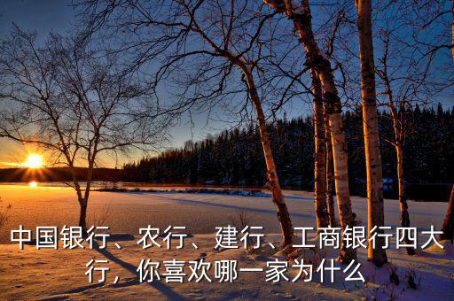 中國銀行、農(nóng)行、建行、工商銀行四大行，你喜歡哪一家為什么