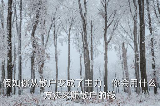 假如你從散戶變成了主力，你會用什么方法來賺散戶的錢