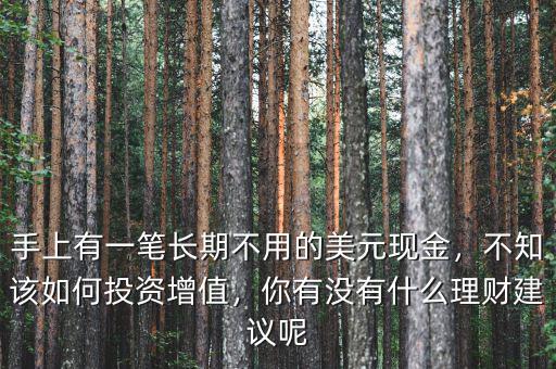 手上有一筆長期不用的美元現金，不知該如何投資增值，你有沒有什么理財建議呢