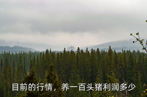 目前的行情，養(yǎng)一百頭豬利潤(rùn)多少