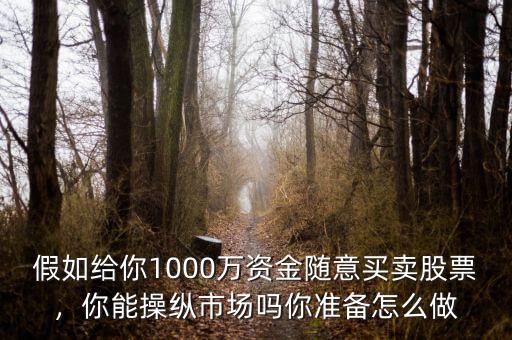 假如給你1000萬資金隨意買賣股票，你能操縱市場嗎你準(zhǔn)備怎么做