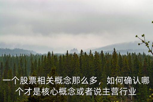 一個股票相關(guān)概念那么多，如何確認(rèn)哪個才是核心概念或者說主營行業(yè)