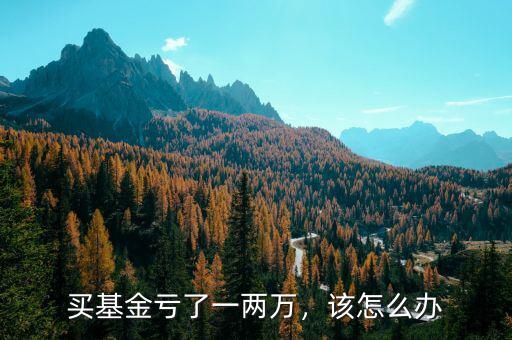 買基金虧了一兩萬，該怎么辦