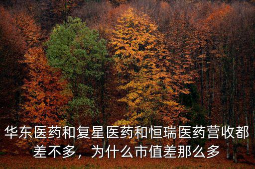 華東醫(yī)藥和復星醫(yī)藥和恒瑞醫(yī)藥營收都差不多，為什么市值差那么多