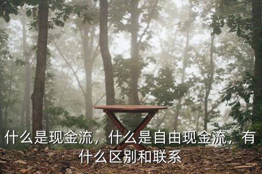 什么是現(xiàn)金流，什么是自由現(xiàn)金流，有什么區(qū)別和聯(lián)系