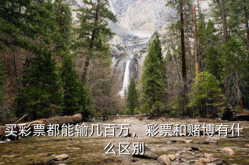 買彩票都能輸幾百萬(wàn)，彩票和賭博有什么區(qū)別