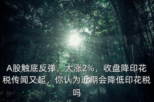 A股觸底反彈，大漲2%，收盤降印花稅傳聞又起，你認(rèn)為近期會降低印花稅嗎