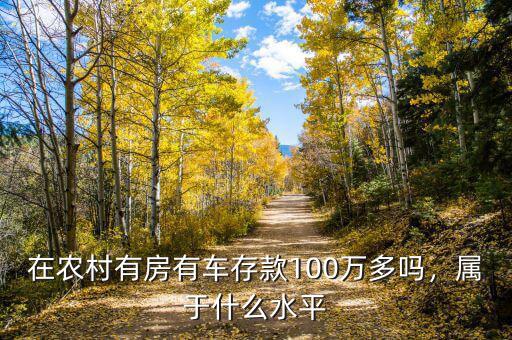 在農(nóng)村有房有車存款100萬多嗎，屬于什么水平