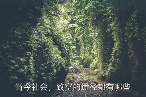 當今社會，致富的途徑都有哪些