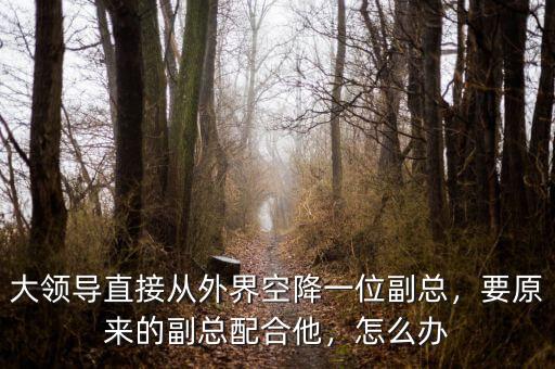大領(lǐng)導(dǎo)直接從外界空降一位副總，要原來的副總配合他，怎么辦