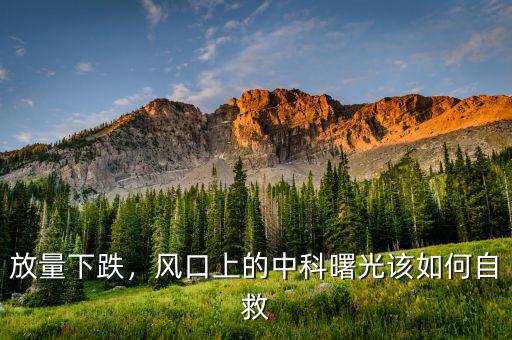 放量下跌，風口上的中科曙光該如何自救
