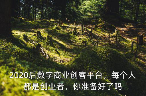 2020后數(shù)字商業(yè)創(chuàng)客平臺(tái)，每個(gè)人都是創(chuàng)業(yè)者，你準(zhǔn)備好了嗎