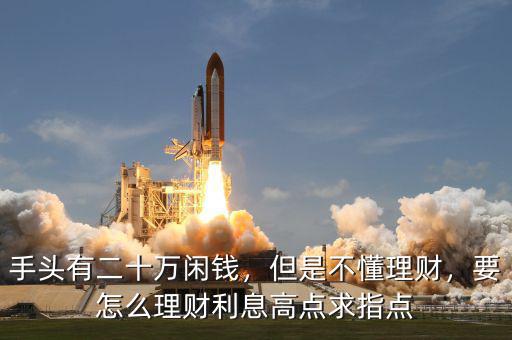 手頭有二十萬閑錢，但是不懂理財，要怎么理財利息高點求指點