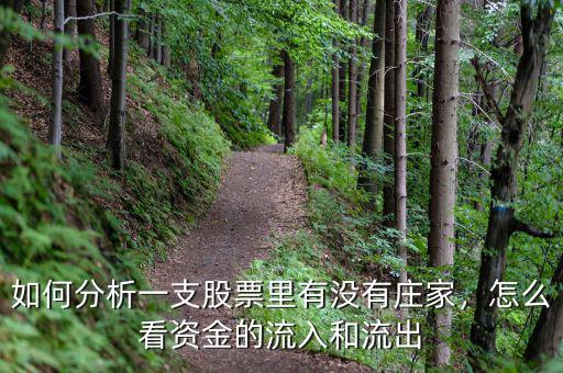 如何分析一支股票里有沒有莊家，怎么看資金的流入和流出