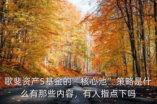 歌斐資產(chǎn)S基金的“核心池”策略是什么有那些內容，有人指點下嗎