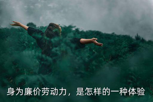 身為廉價勞動力，是怎樣的一種體驗(yàn)