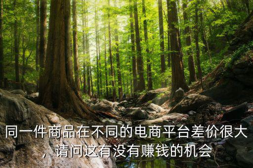 同一件商品在不同的電商平臺(tái)差價(jià)很大，請(qǐng)問這有沒有賺錢的機(jī)會(huì)