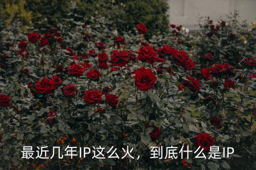 最近幾年IP這么火，到底什么是IP