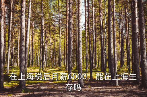 在上海稅后月薪6000，能在上海生存嗎