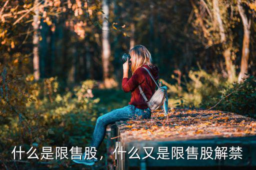 什么是限售股，什么又是限售股解禁