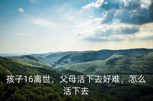 孩子16離世，父母活下去好難，怎么活下去