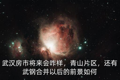 武漢房市將來會咋樣，青山片區(qū)，還有武鋼合并以后的前景如何