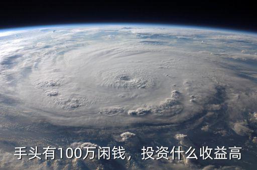 手頭有100萬閑錢，投資什么收益高