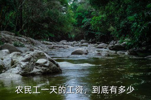 農(nóng)民工一天的工資，到底有多少