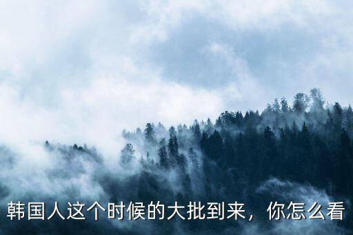 韓國人這個(gè)時(shí)候的大批到來，你怎么看