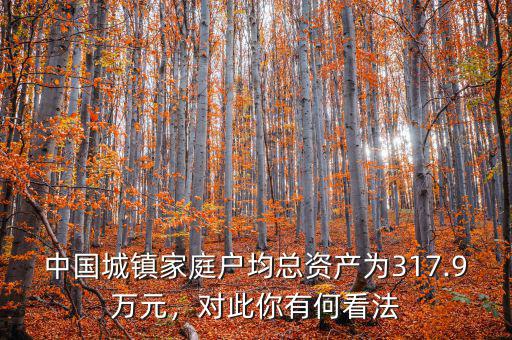 中國城鎮(zhèn)家庭戶均總資產(chǎn)為317.9萬元，對此你有何看法