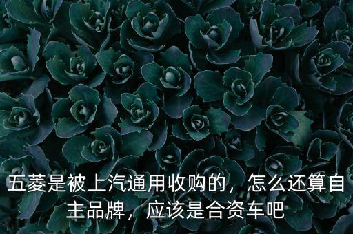 五菱是被上汽通用收購(gòu)的，怎么還算自主品牌，應(yīng)該是合資車吧