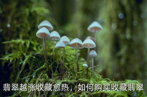 翡翠越漲收藏愈熱，如何購買收藏翡翠